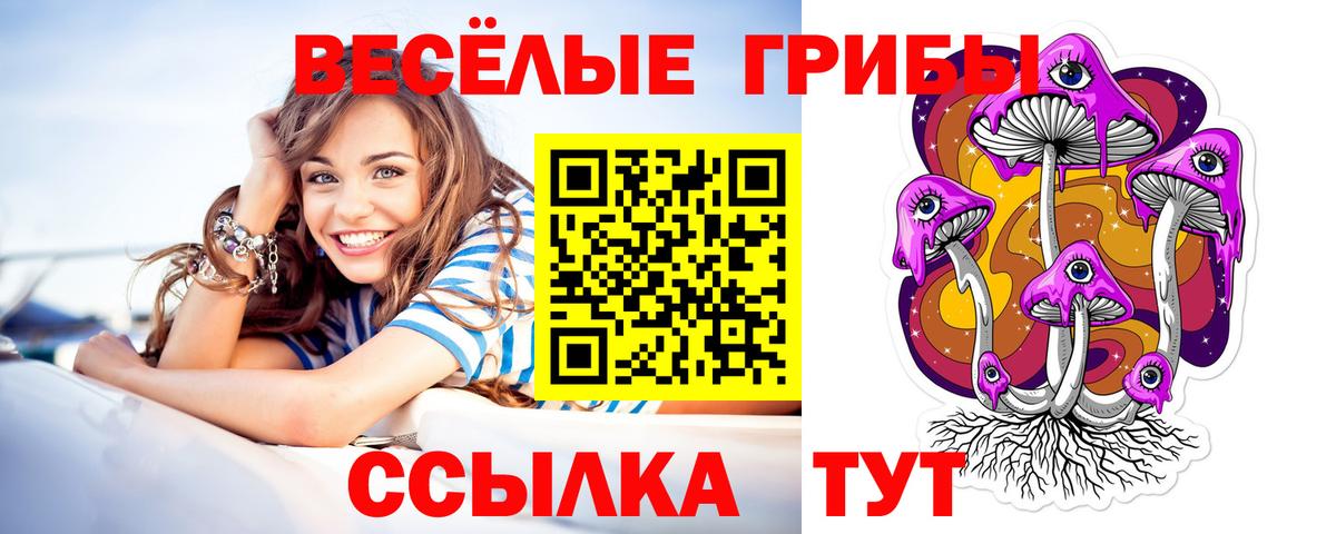 Псилоцибиновые грибы прущие грибы Великие Луки
