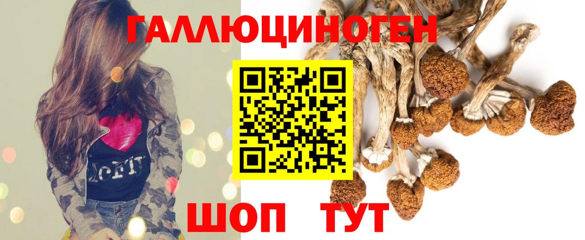 Великие Луки  купить закладку  Вход с VPN  Галлюциногенные грибы MAGIC MUSHROOMS 